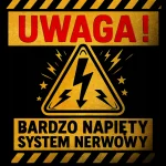 KOSZULKA MĘSKA Z NADRUKIEM UWAGA BARDZO NAPIĘTY SYSTEM NERWOWY CZARNA S - obrazek 2